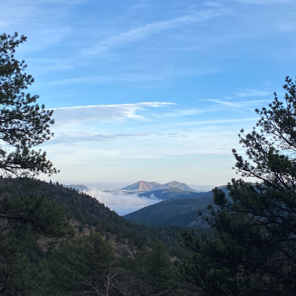 Meet your Posher, Posh